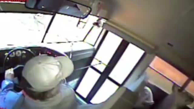 Deer crashes through school bus windshield