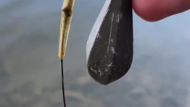 2800 Riverview Rd,Apt#311