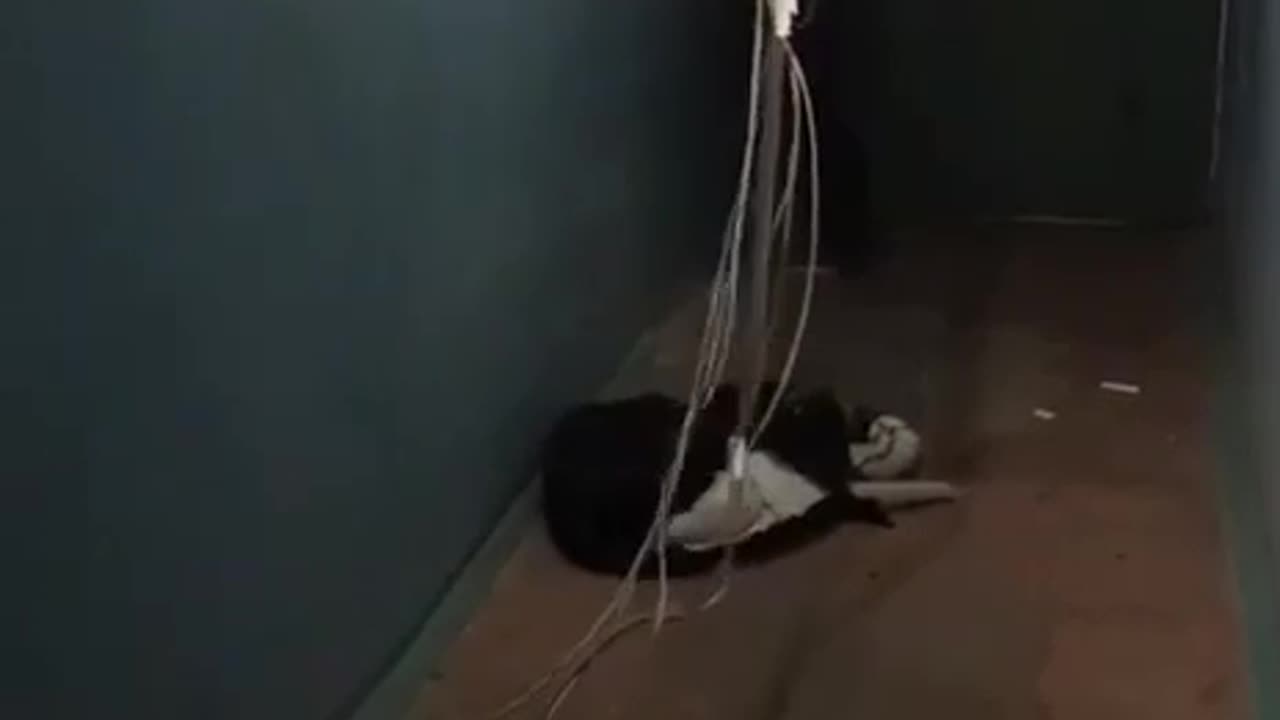 Drunk Former Russian Soldiers Picks a Fight with an Electrical Box