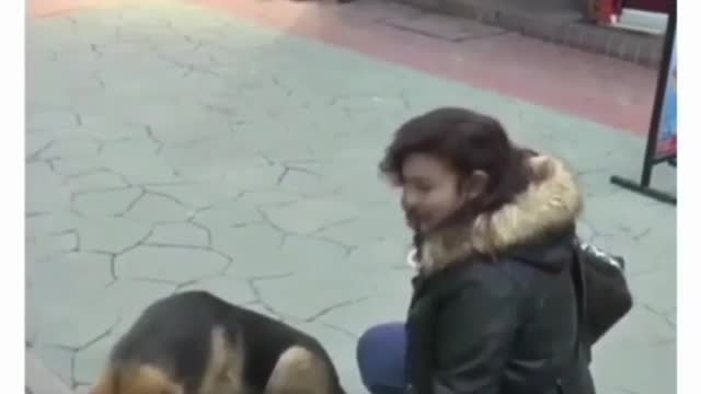 Dog_help.__._Very_emotional__Follow_me__#doghelp__#emotional__