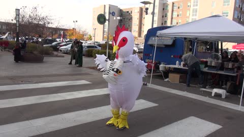 10-29-22 Why Did the Chicken Cross The Road?