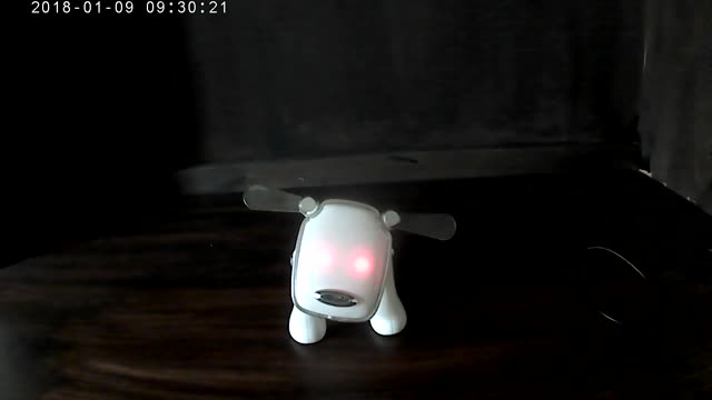 2005 Hasbro iDog animated speaker! Please read description!