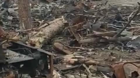 This is the situation now near Gostomel