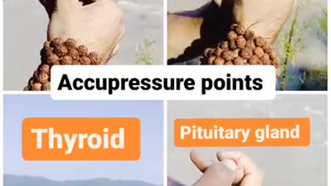 Accupressure point