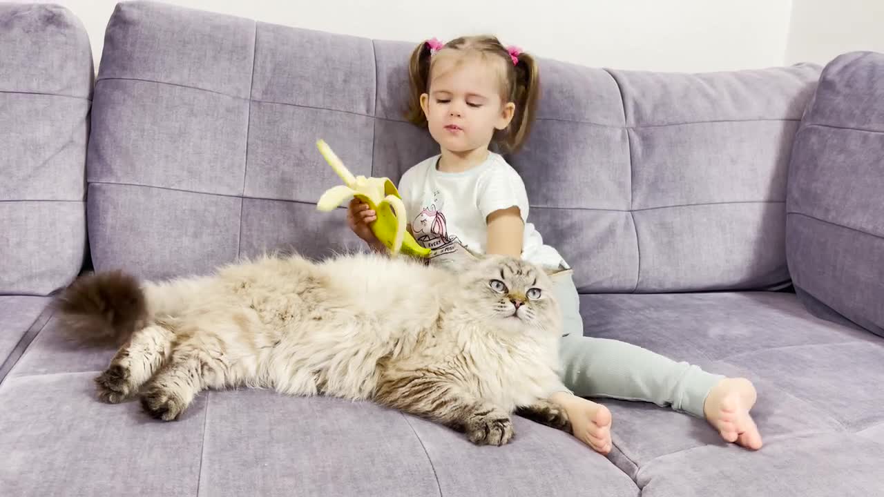 Adorable Baby Girl Shares Her Banana With a Cat