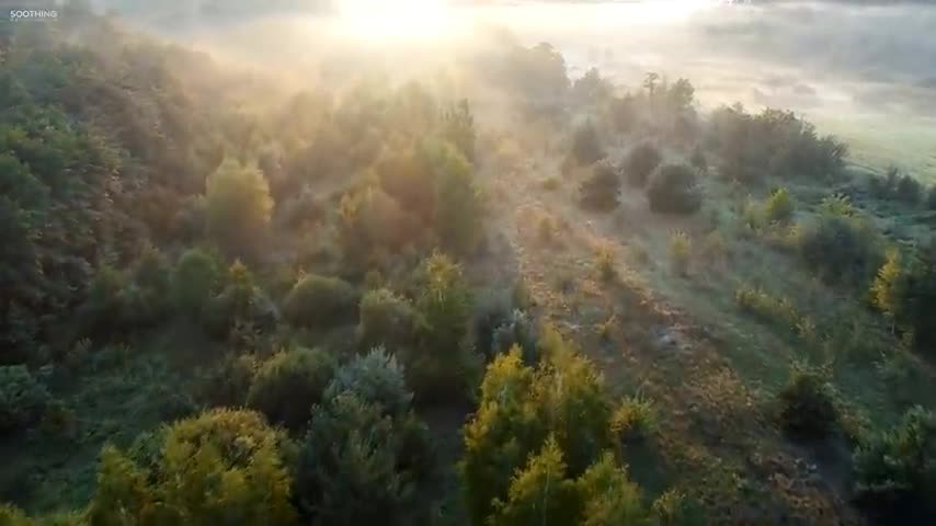 Beautiful Relaxing Music • Peaceful Piano Music