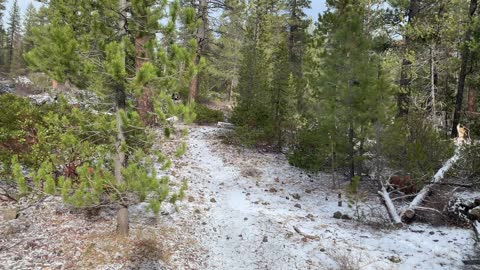 Just a Light Dusting of Snow – Central Oregon – Edison Sno-Park