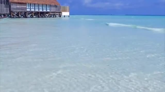 amazing holiday 👍