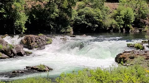 Oregon Waterfall Hwy - Salmon Jump