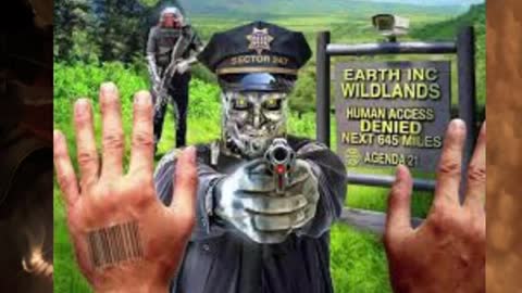 This is America, Revolution or Die!