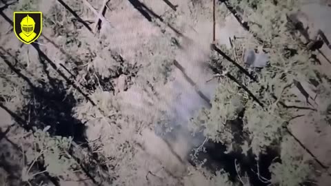 Drone drop on enemy personnel from the 3rd Separate Tank Iron Brigade