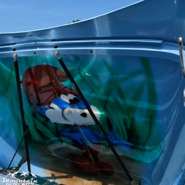 1956 Ford F100 Pickup Truck