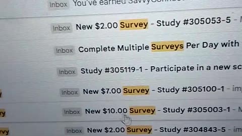 Survey Savvy