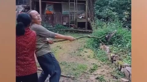 Funny Videos 2022