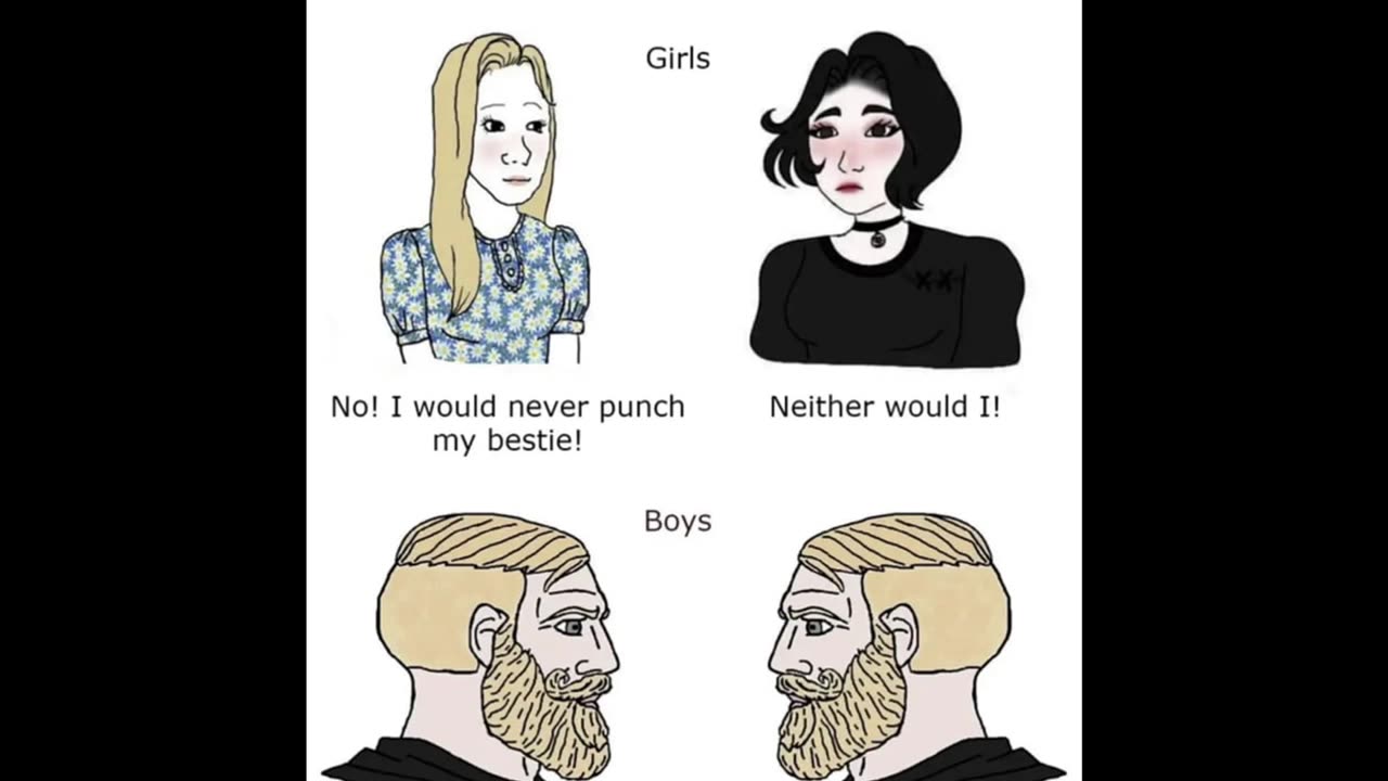 Random Memes 256