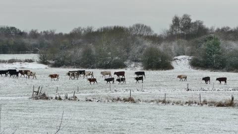 Beautiful Village Life & Landscapes.