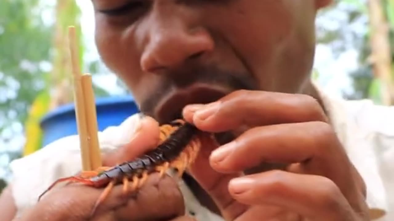 Mukbang centipede