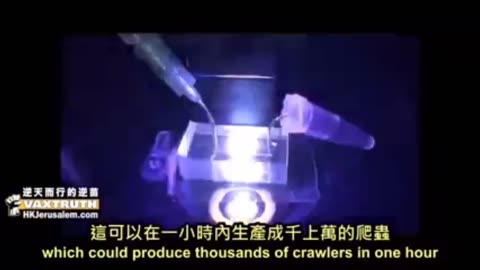 蜂巢網絡意識全人類思維一體化-1