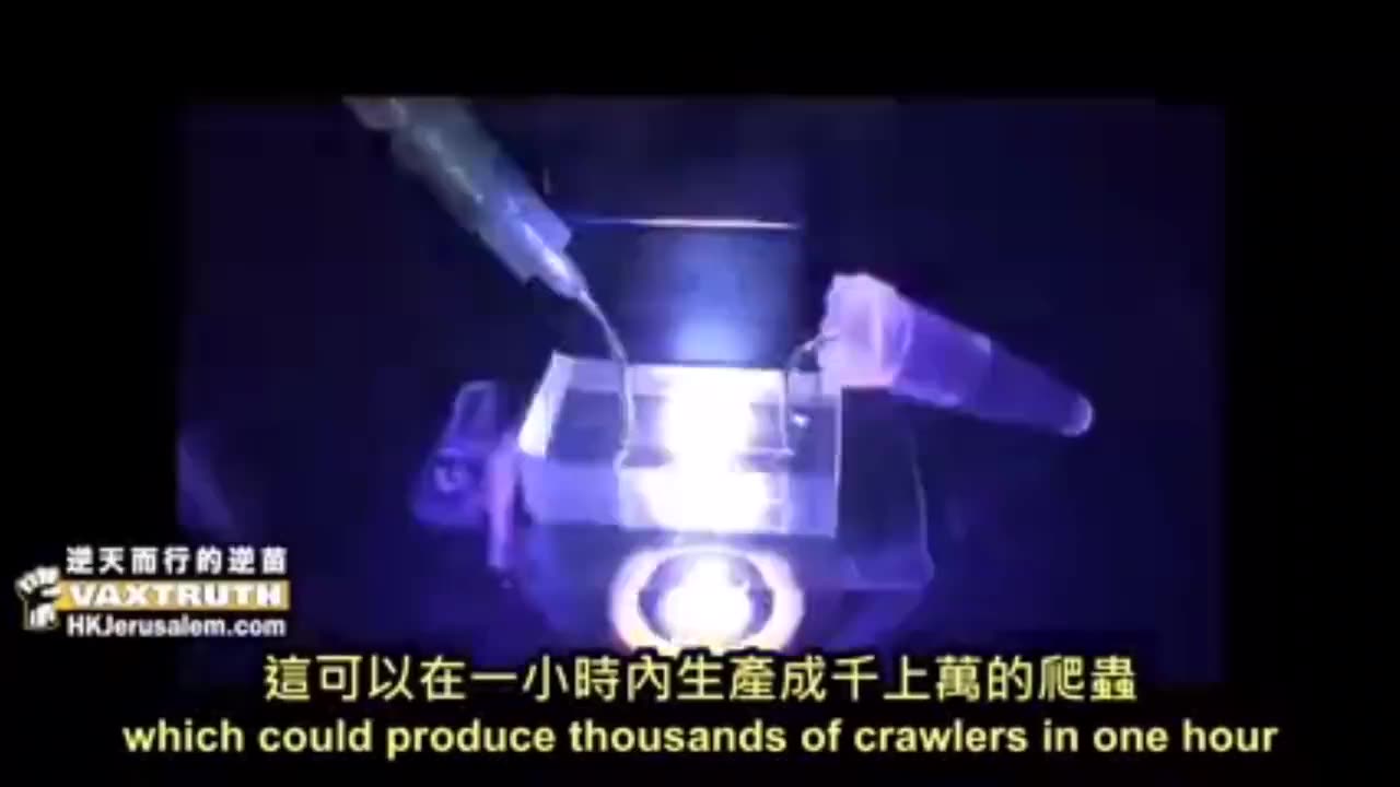 蜂巢網絡意識全人類思維一體化-1