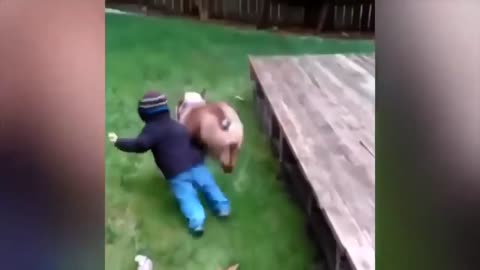 ULTIMATE|| Animal Compilation || Funny Fails || viral || comedy