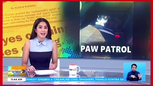 Pusa, nakitulogsasasakyan ng pulis saIndiana