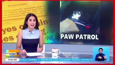 Pusa, nakitulogsasasakyan ng pulis saIndiana