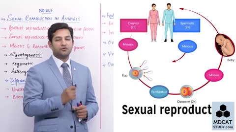 LEC#6 SEXUAL REPRODUCTION