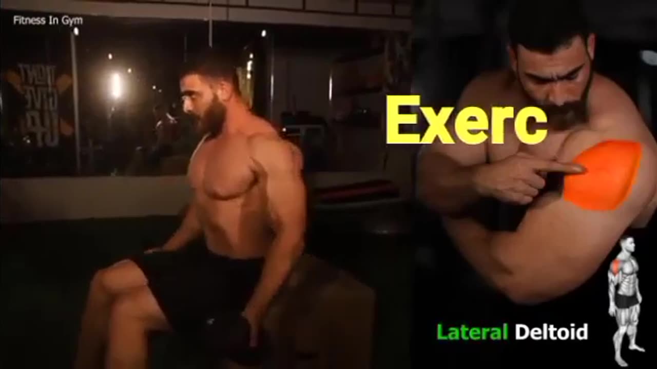 Best shoulder exercises!! To get a huge shoulder (2024)