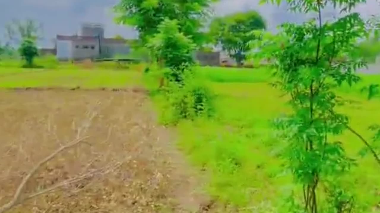 village life short video