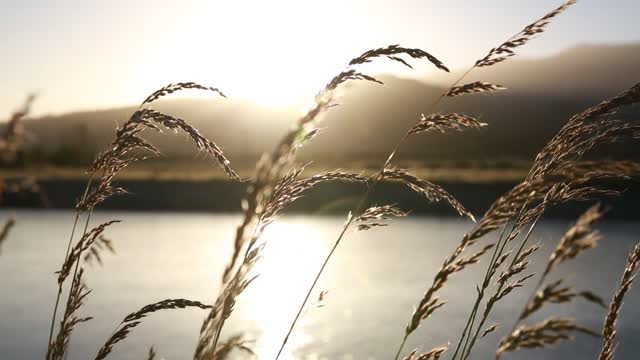 Good job, sleep well today 😴 Healing music that warms the body and mind + the sound of water 🎵