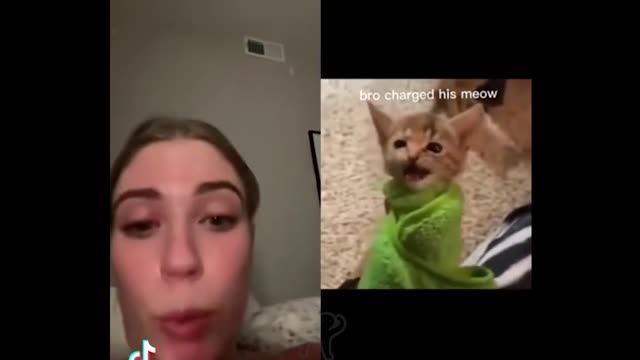 FUNNY CAT MEMES COMPILATION OF 2022 PART 69