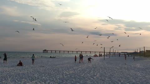 Florida beach