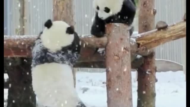 It's snowing, but it's a good thing we have warm clothes.