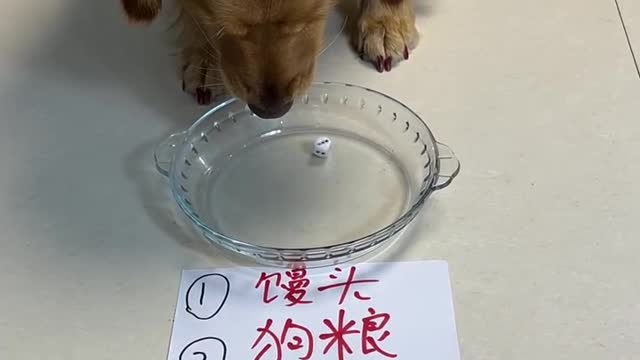 I don't like fish.
