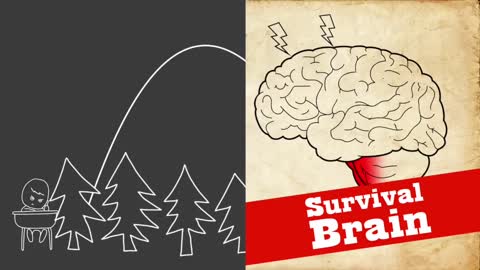 Learning Brain vs. Survival Brain in Trauma Understanding