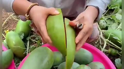 Farming_Gardening_&_Satisfying_FruitsCutting