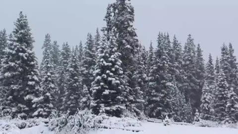 It's snowing today high up in the Colorado Rockies