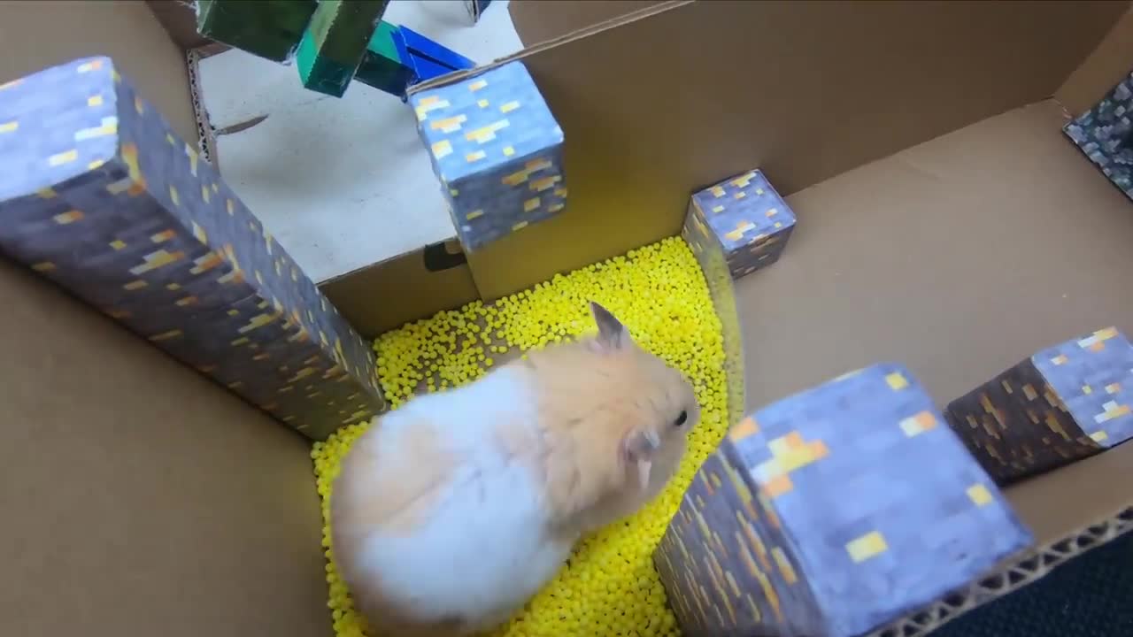 Hamster Escapes The Awesome Minecraft Maze With Underwater Obstacle Course7