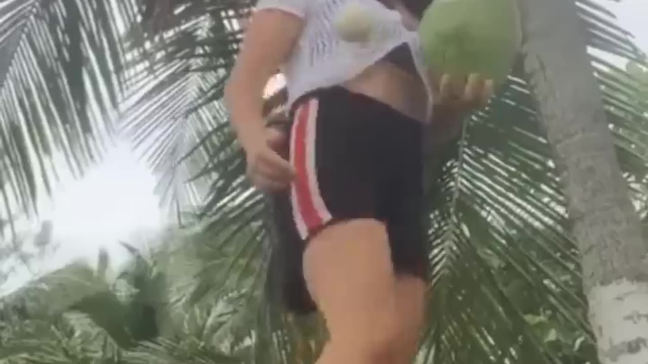 Awesome Video