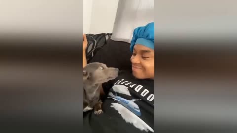 Kiss your dog and see their reaction