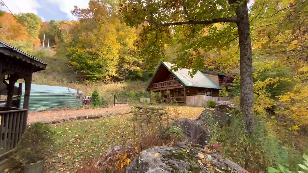 NW NC Appalachia / The sun cascades through the trees at The Treehouse 🌳 (not time lapsed )