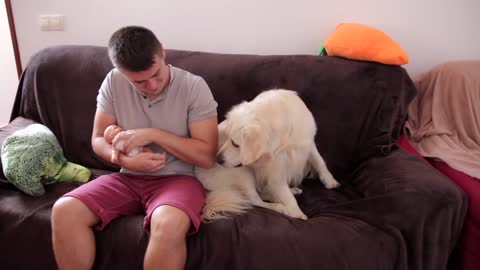 Funny Dog Reacts to a Fake Baby