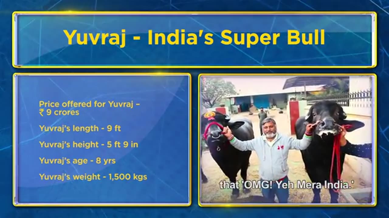 THIS BULL 50 LAKHS EVERY YEAR EP 01