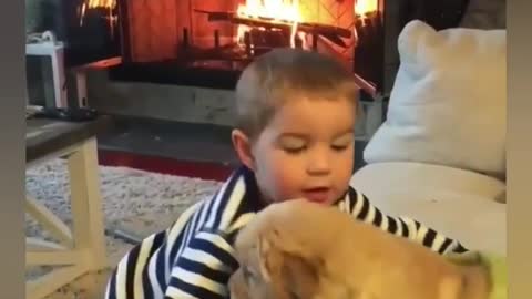 Cute Dog's with Cute Babies compilation 2021 lovely and Funny moments at home