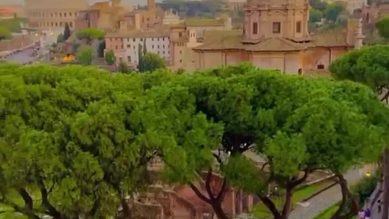 Natural landscape video 8