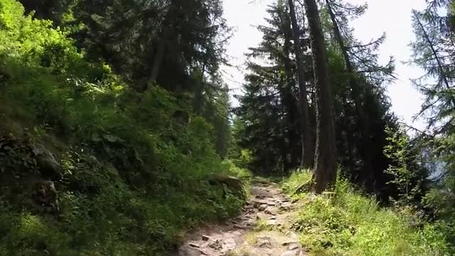 GoPro Awards Wandering the French Alps