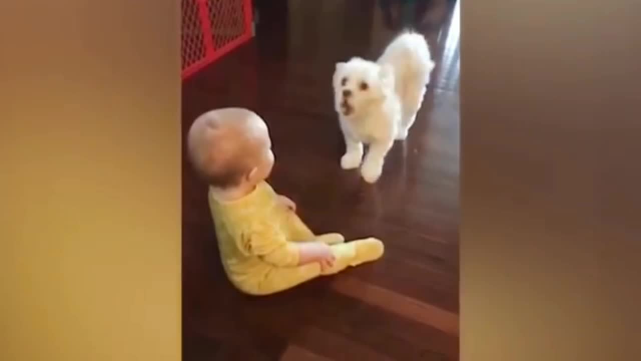 Doggy Doggy And baby baby