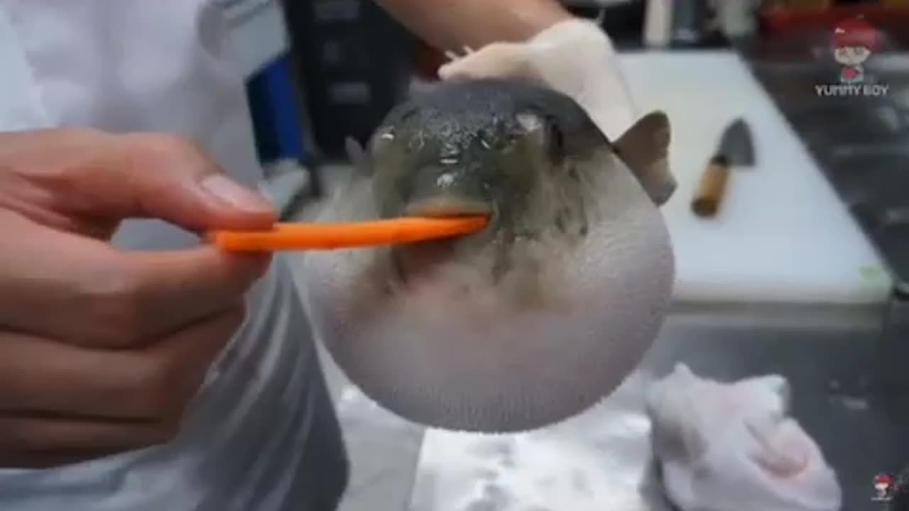 Funny fish