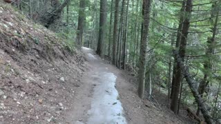 Hiking the Classic Old Growth Forest – Tamanawas Falls – Mount Hood – Oregon – 4K