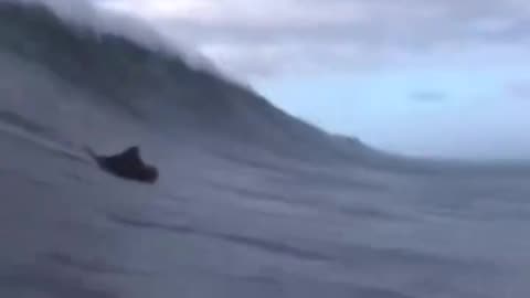 Riding A Giant Wave